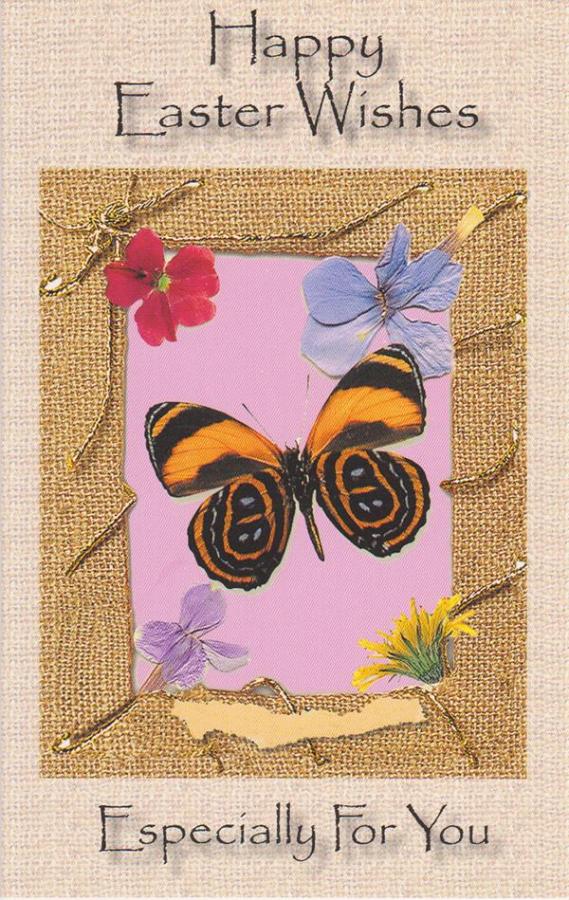 *General Easter Card Wrapped (12 pack)