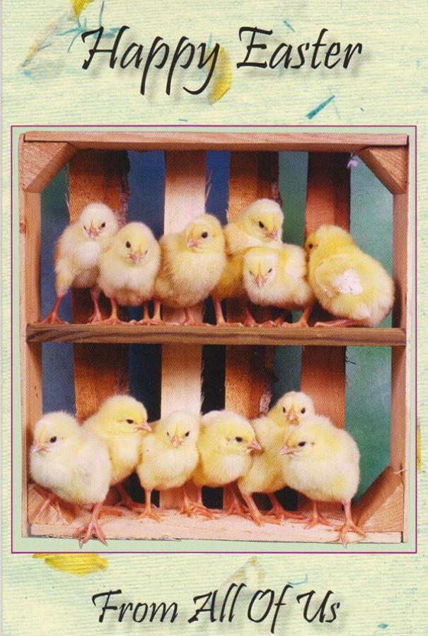 *General Easter Card Wrapped (12 pack)