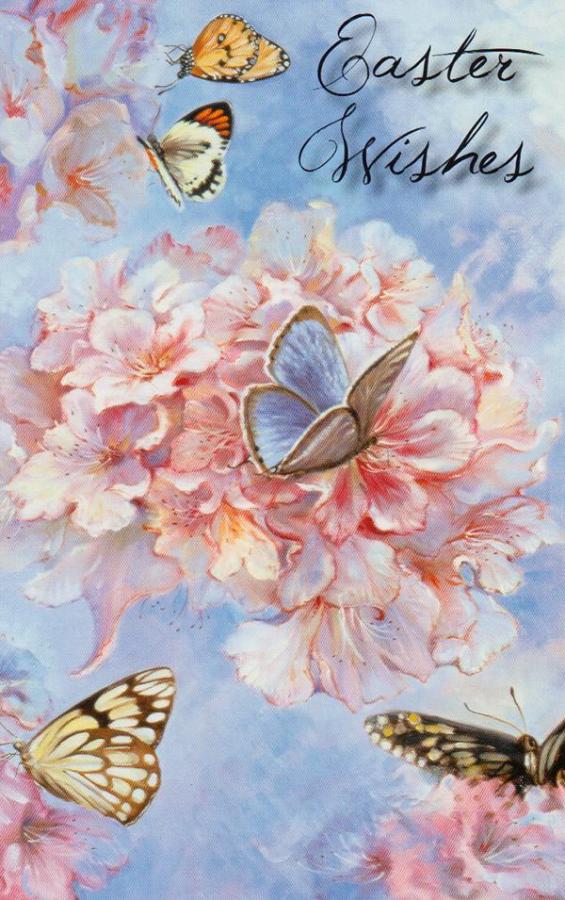 *General Easter Card Wrapped (12 pack)