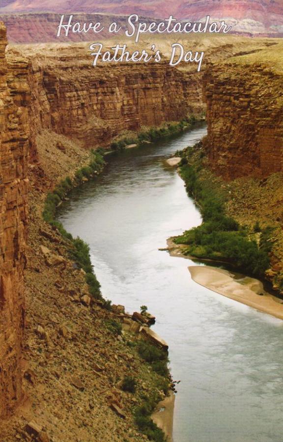 General Father's Day Card Wrapped (12 pack)