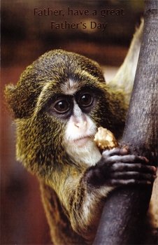 Wrapped Father's Day cards