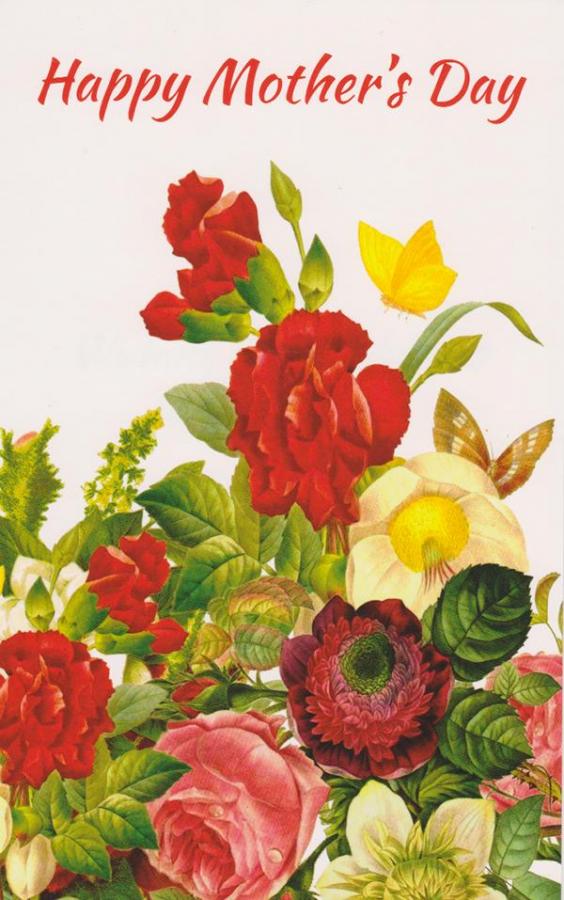 General Mother's Day Card Wrapped (12 pack)