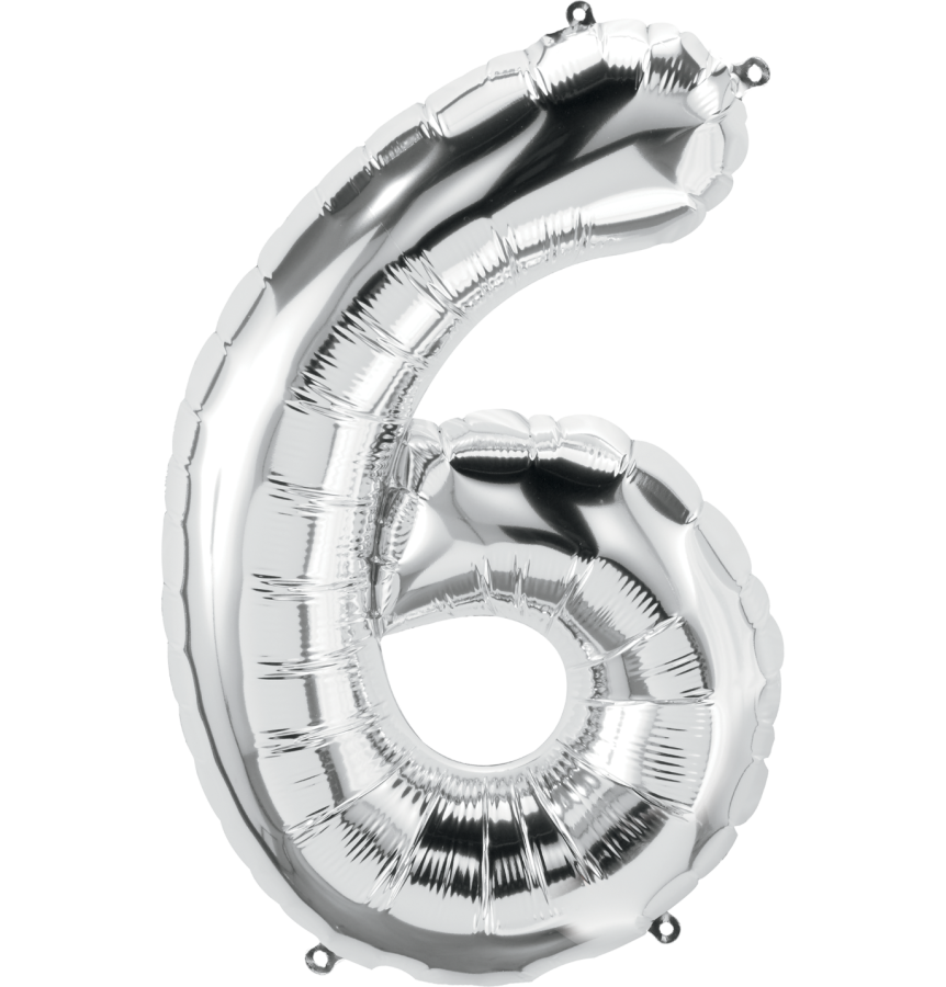 14" Silver Number "6"