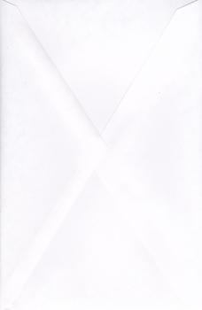 100 Envelopes - 5.25" x 8"