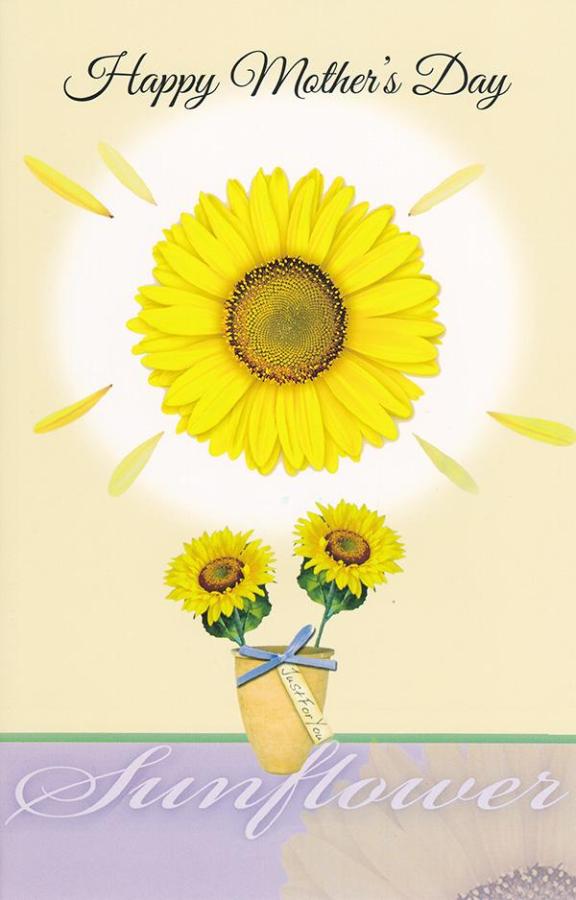 General Mother's Day Card Wrapped (12 pack)