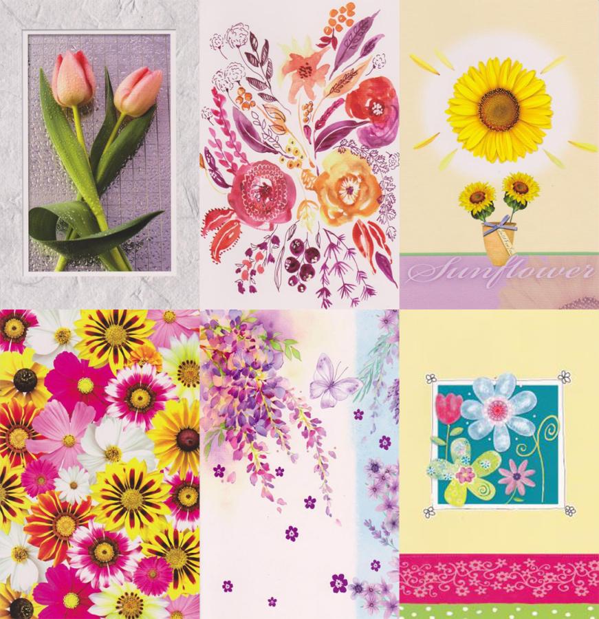 48 Assorted Wrapped Blank cards