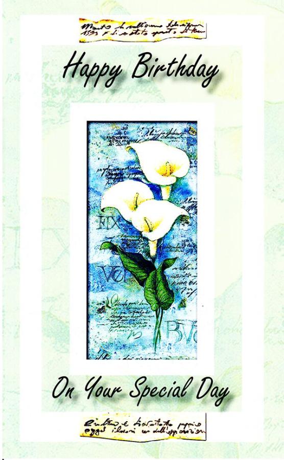 Wrapped Birthday General (12 pack)