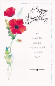 Wrapped Birthday General (12 pack)