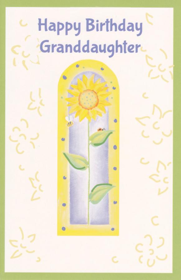 Wrapped Birthday Granddaughter Adult  (12 pack)