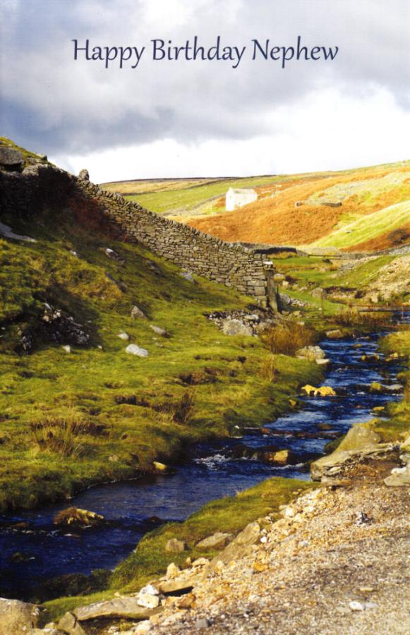 Wrapped Birthday Nephew Adult (12 pack)