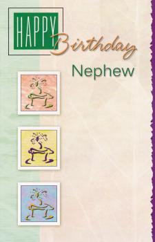 Wrapped Birthday Nephew Adult (12 pack)