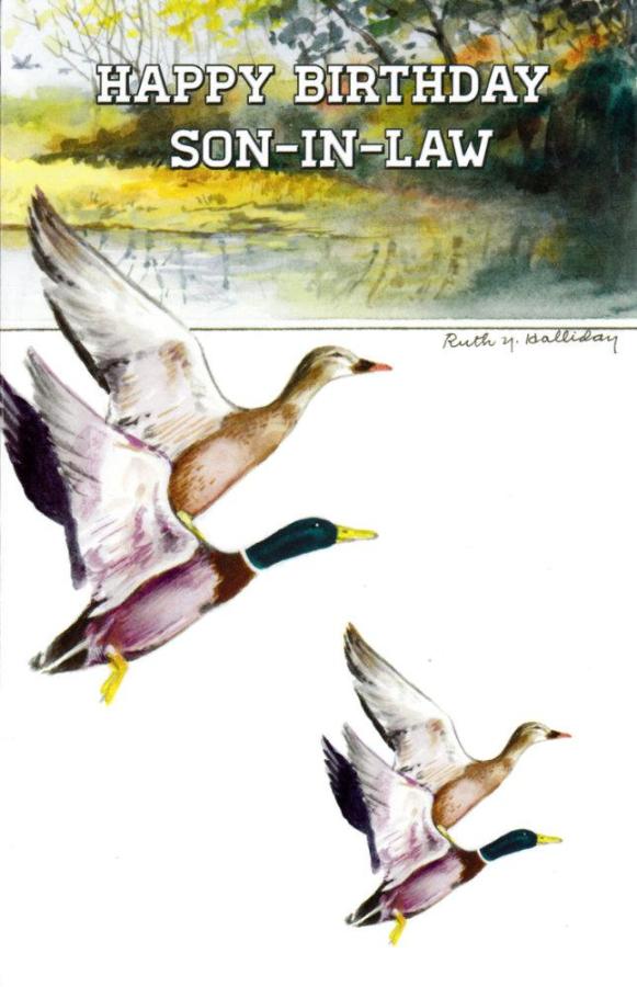 Wrapped Birthday Son-In-Law (12 pack)