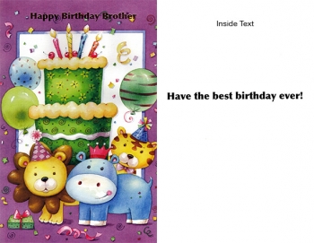 Wrapped Birthday Brother Juvenile