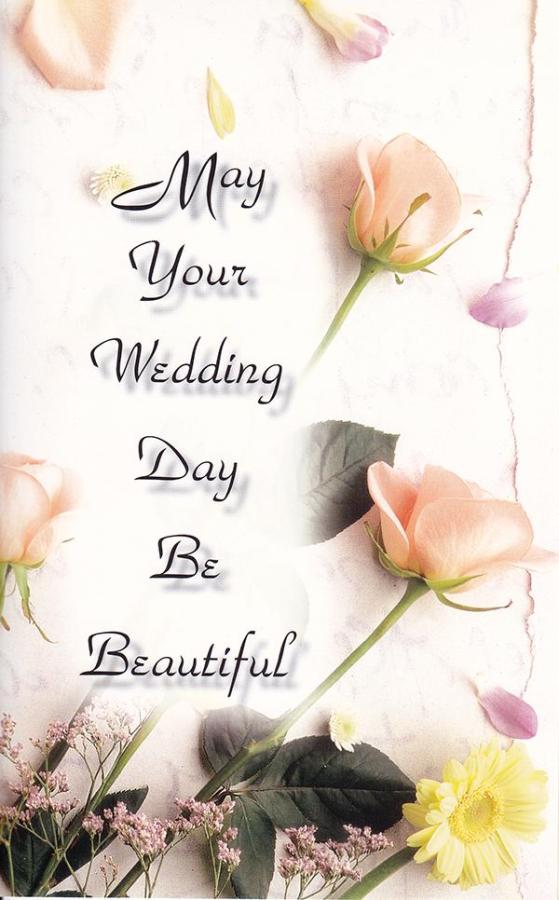 Wrapped Wedding (12 pack)