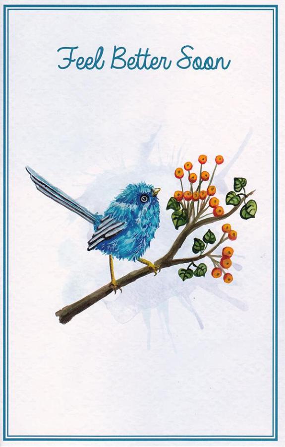 Wrapped Get Well General (12 pack)