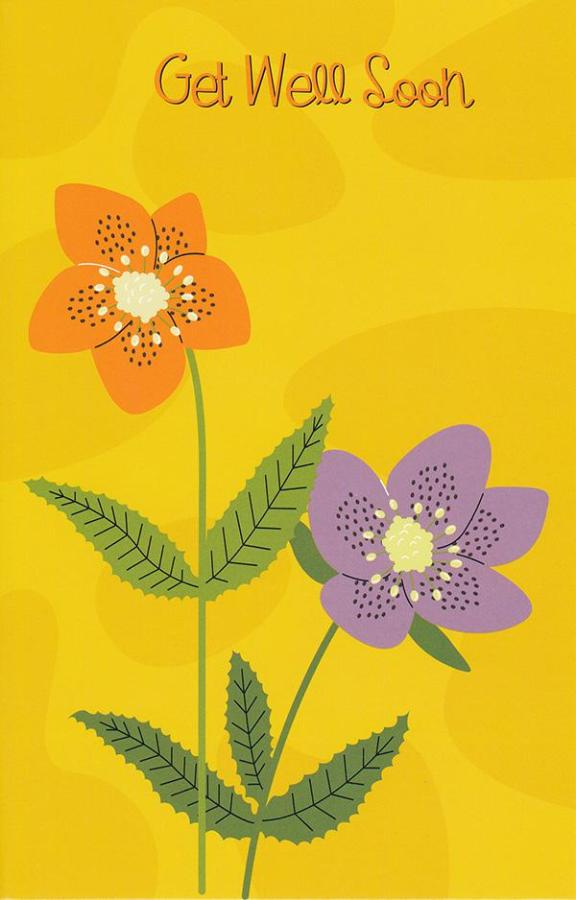 Wrapped Get Well General (12 pack)