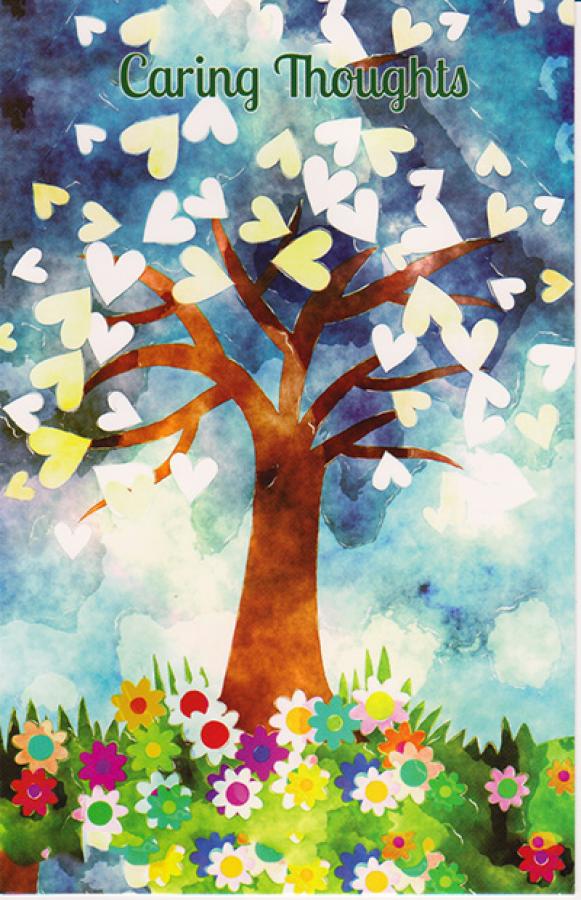 Wrapped Cheer (12 pack)