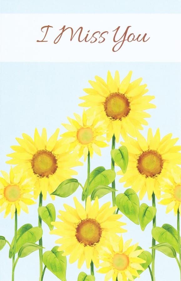 Wrapped Miss You Card (12 Pack)