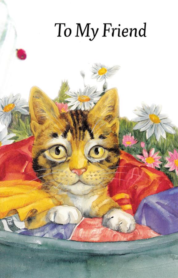 Wrapped Friendship Card (12 Pack)