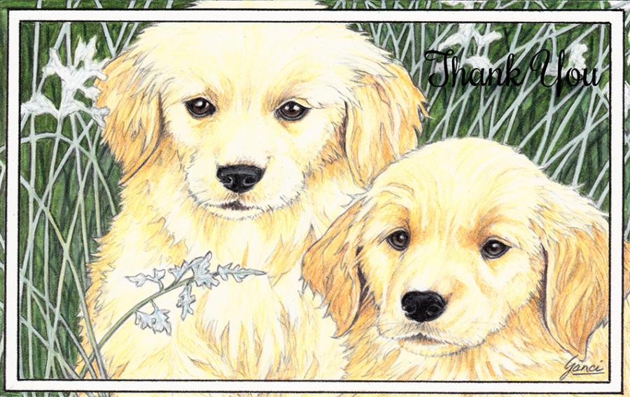 Wrapped Friendship Card (12 Pack)