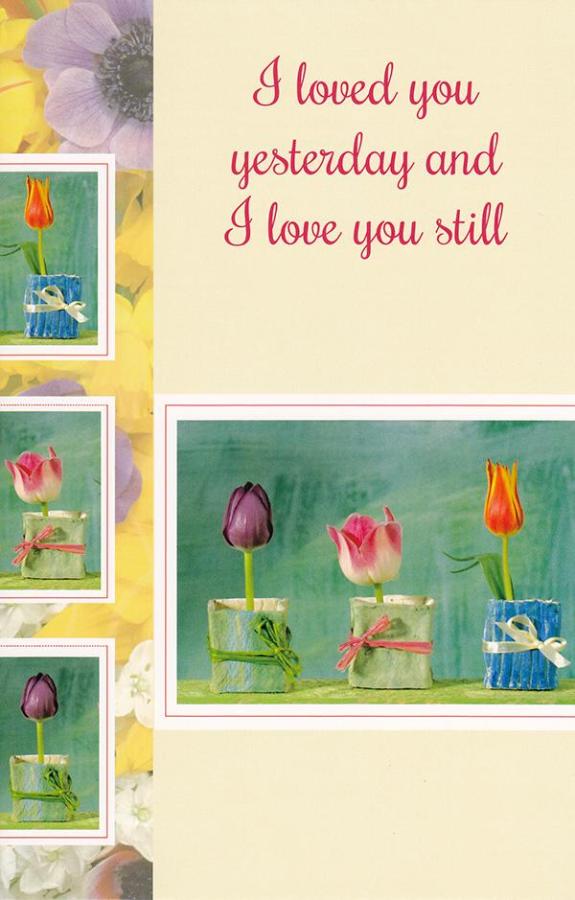 Wrapped Love Cards (12 pack)