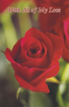 Wrapped Love Cards (12 pack)