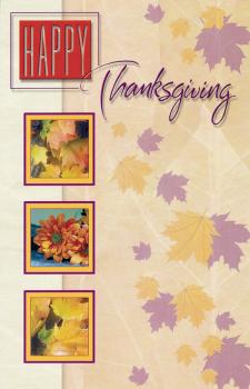 Thanksgiving Cards Wrapped (12 pack)