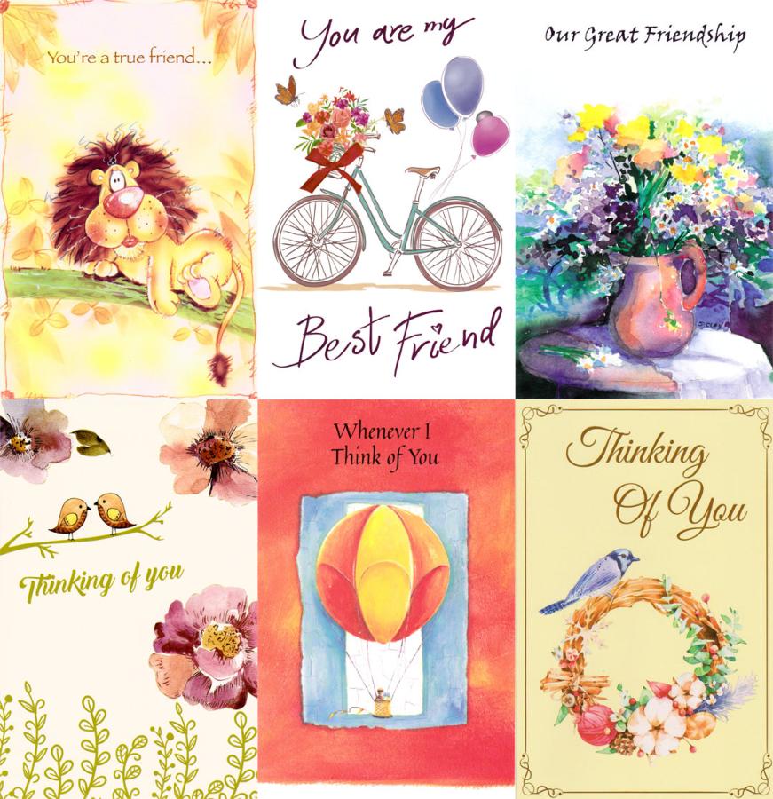 120 Assorted Wrapped Thinking of You and Friendship Cards