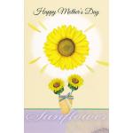 General Mother's Day Card Wrapped (12 pack)