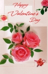 Wrapped Valentine General Card (12 pack)