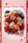 Wrapped Valentine General Card (12 pack)