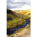 Wrapped Birthday Nephew Adult (12 pack)