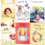 120 Assorted Wrapped Thinking of You and Friendship Cards