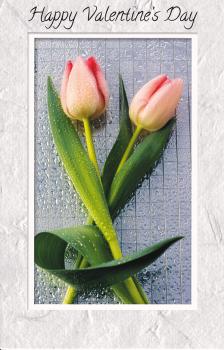 Wrapped Valentine General Card (12 pack)